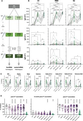 Third SARS-CoV-2 vaccination and breakthrough infections enhance humoral and cellular immunity against variants of concern